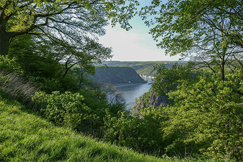 Foto Quelle: pixabay.com / <a href=https://pixabay.com/de/users/katzenfee50-7273650/ target=_blank rel=nofollow>katzenfee50</a>