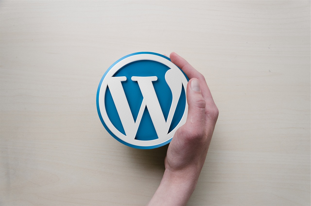 Foto Quelle: <a href=https://cdn.pixabay.com/photo/2015/01/05/11/02/wordpress-589121_1280.jpg target=_blank rel=nofollow>pixabay.com</a>