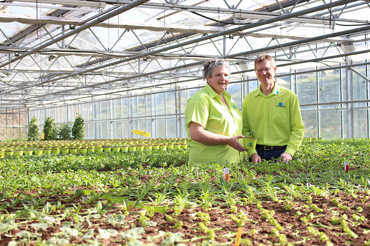 Neuerffnung bei Kramer Garten & Ambiente in Buchholz