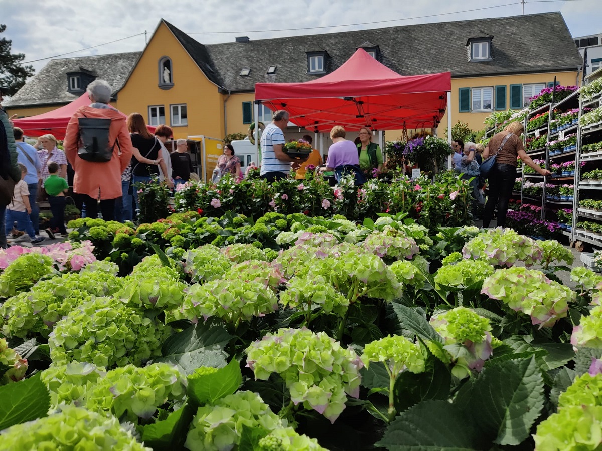 Bendorfer Bauern- und Gartenmarkt lockt mit vielseitigem Programm