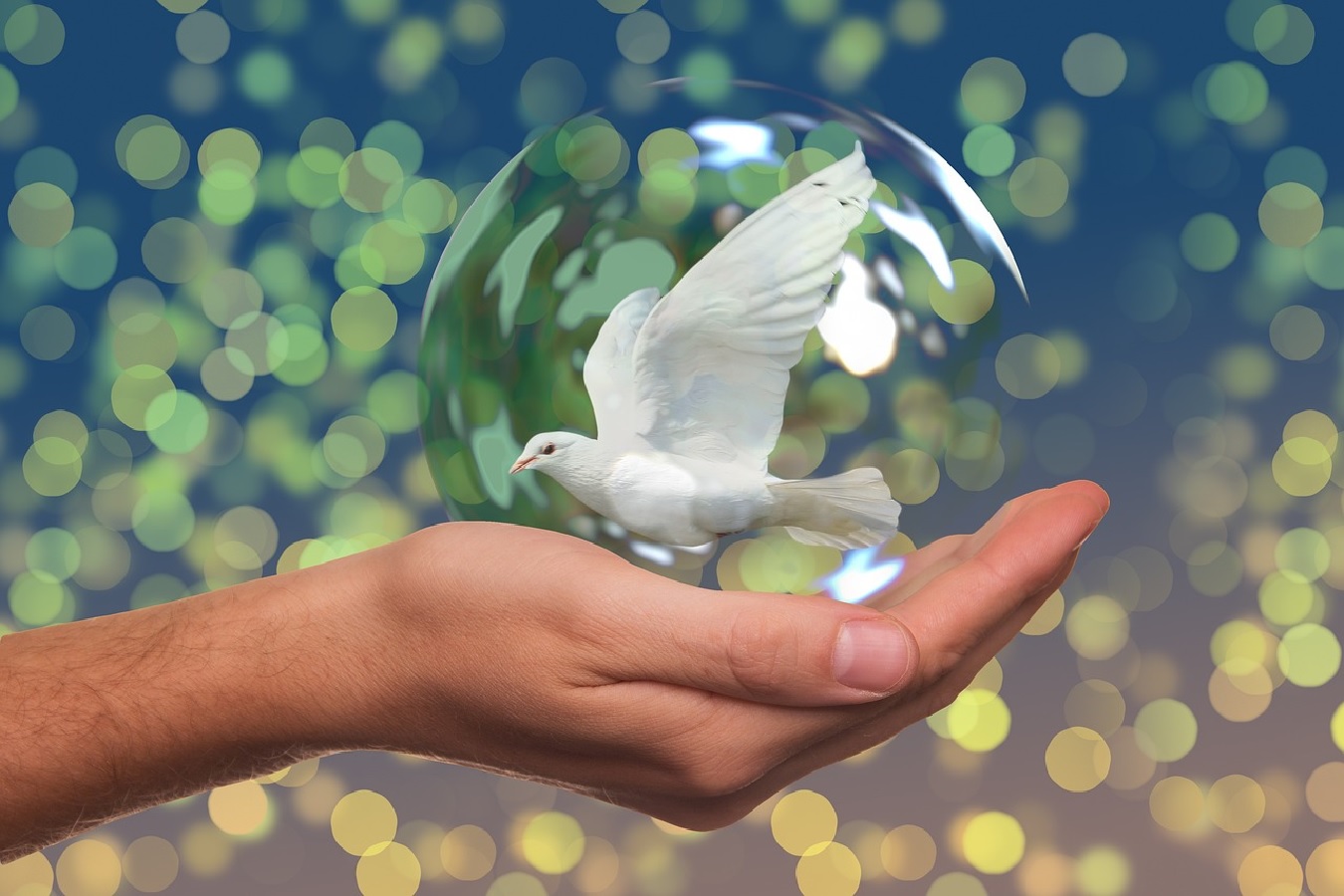 Symbolbild (Quelle: Pixabay)