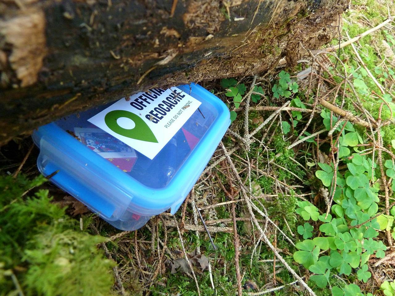 Moderne Schatzsuche via GPS: So gelingt der Einstieg ins Geocaching