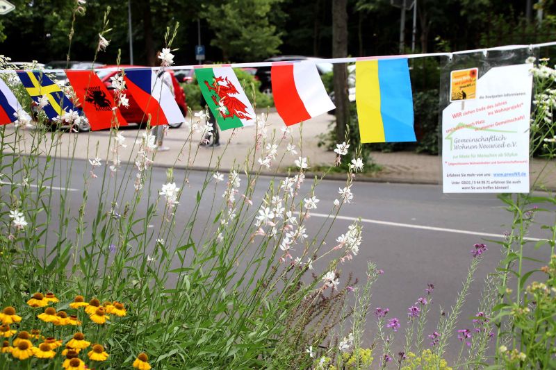 Bunte Blumen und Fahnen im Beet der gewoNR-Beetpaten. Fotos: privat