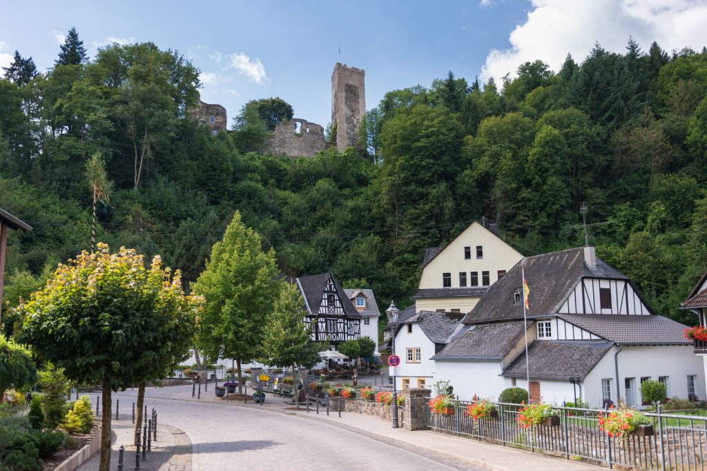 Grenzau: Fachwerkhuser und Bergfried. Foto: Westerwald Touristik-Service