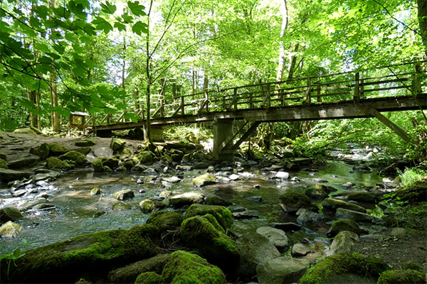 Bei dieser schnen Wanderstrecke hat man die Wahl zwischen einem kurzen oder langen Ausflug. Fotos: GRI