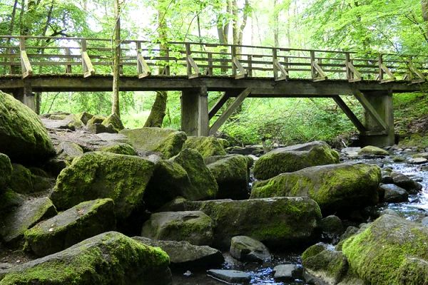 Im Juni 2019 hat der Tourismus in Rheinland-Pfalz zugelegt. (Symbolfoto: GRI)