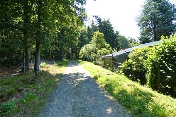 Der Westerwaldsteig ist Teil der Rundwanderung um den Freilinger Weiher.