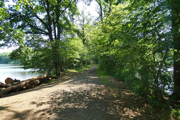 Der Damm trennt den Brinkenweiher (links) vom Freilinger Weiher.