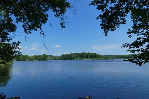 Blick auf den Brinkenweiher.