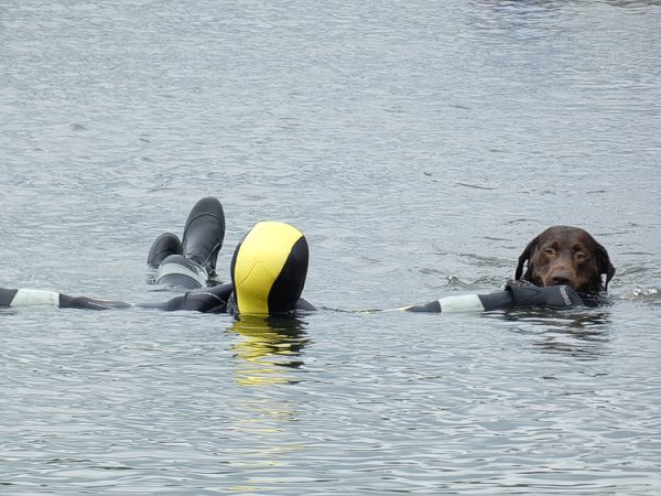 Hundetraining der Neufundlnder Wasserarbeitsgruppe Westerwald.