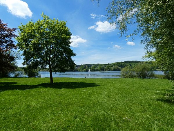 Liegewiese am Seekiosk.