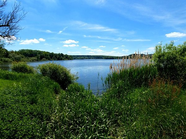 Der Wiesensee - Naherholungsflche im Westerburger Land