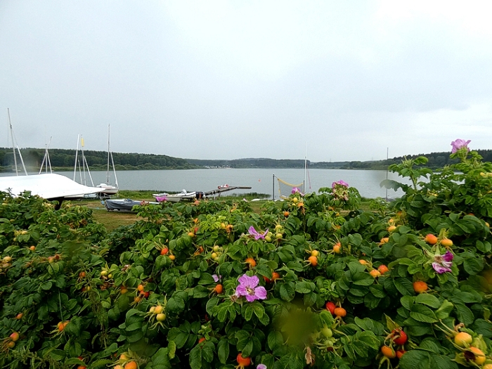 Die Krombachtalsperre, Erholungsflche im hessischen Westerwald