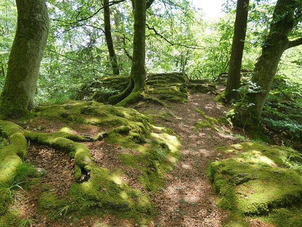 Moosbewachsene Felsen gestalten die Landschaft wie in einem Mrchen.