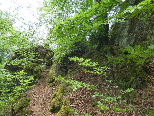 Felsenstbchen beim Kloster Marienstatt.