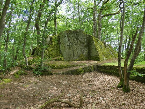 Fundamente der Burgruine Froneck.