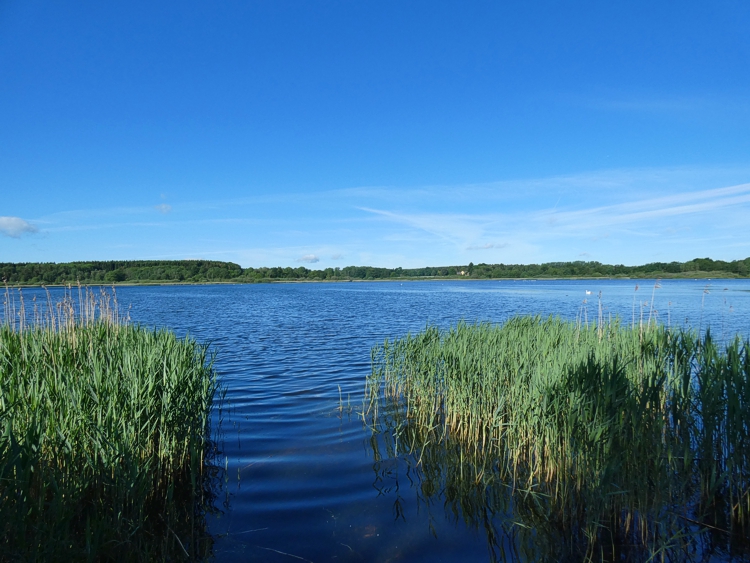 Blick von Dreifelden auf den Dreifelder Weiher.