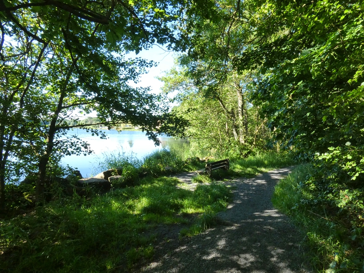 Idyllischer Blick aus der Waldlichtung zum See.