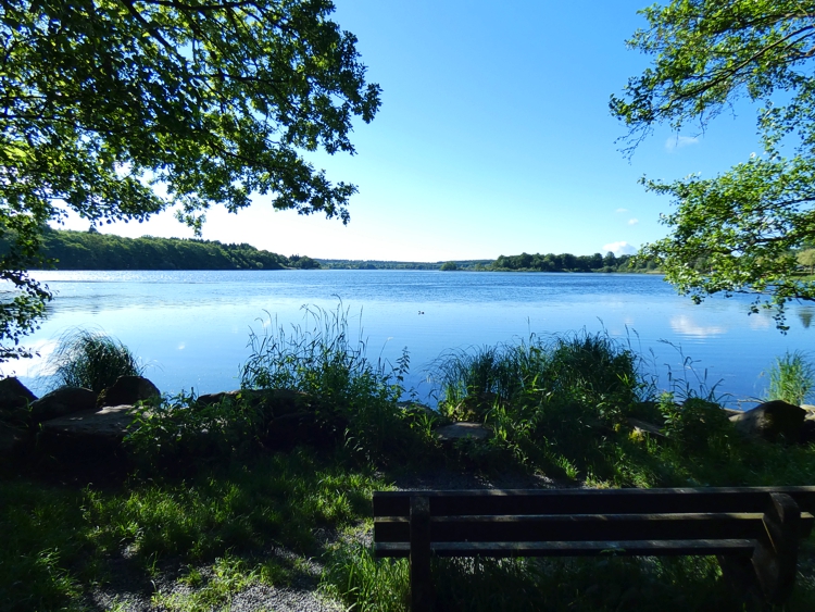 Rund um den Dreifelder Weiher - Wandertour und Abenteuerspielplatz