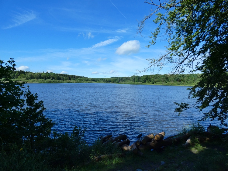 Der Haidenweiher, Naturschutzgebiet fr seltenen Tiere und Pflanzen.