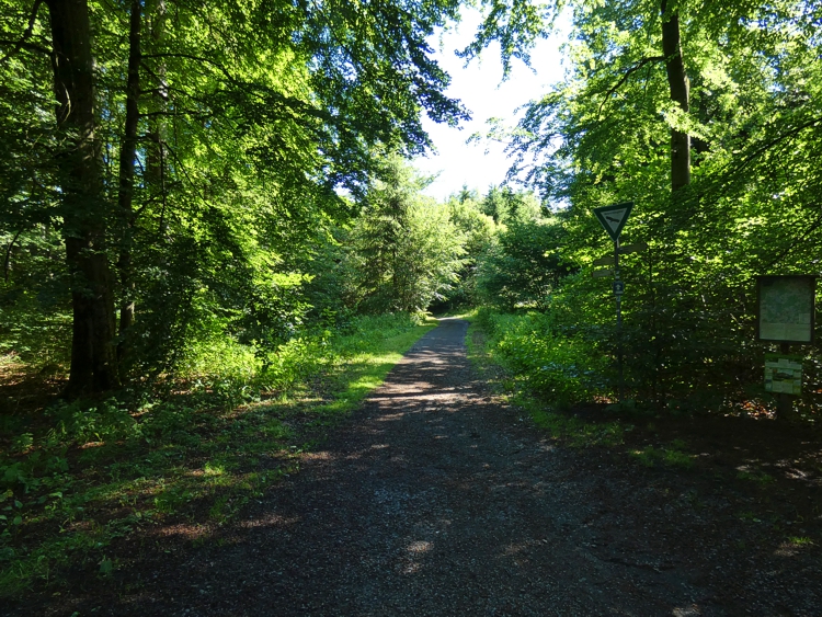 Der gut ausgebaute Wanderweg ist beschildert.