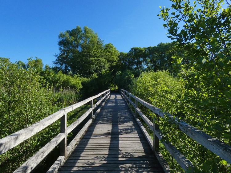 Die Brcke bei der Wiedmndung.