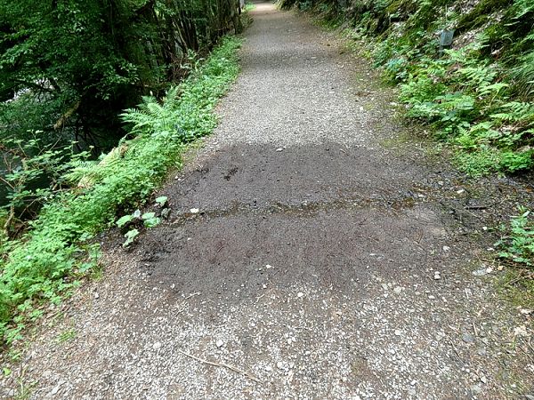 Festes Schuhwerk ist empfehlenswert, um diese Strecke zu wandern.