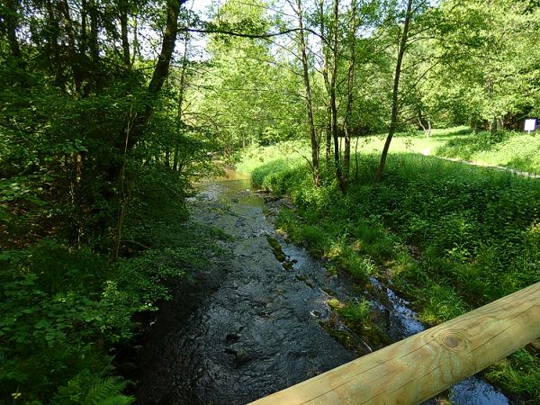 Blick auf die Kleine Nister.