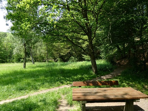 Rastplatz bei der Schutzhtte, im Hintergrund links die Holzbrcke ber die Groe Nister.