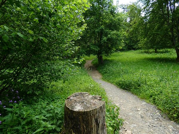 Wanderpfad hinter der Holzbrcke links.