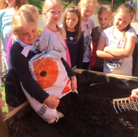 Die Kinder der Grundschule Etzbach fllten das Hochbeet, sten den Weizen aus und gossen anschlieend ihr Werk, was sie nun jeden Morgen mit groer Begeisterung tun in der  Hoffnung, im Beet schon einen ersten grnen Halm entdecken zu knnen. (Foto: Grundschule Etzbach) 