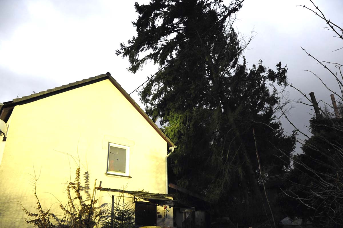 Nachwehen der Sturmnächte in Güllesheim: Tannen drohten auf ein Haus zu stürzen 