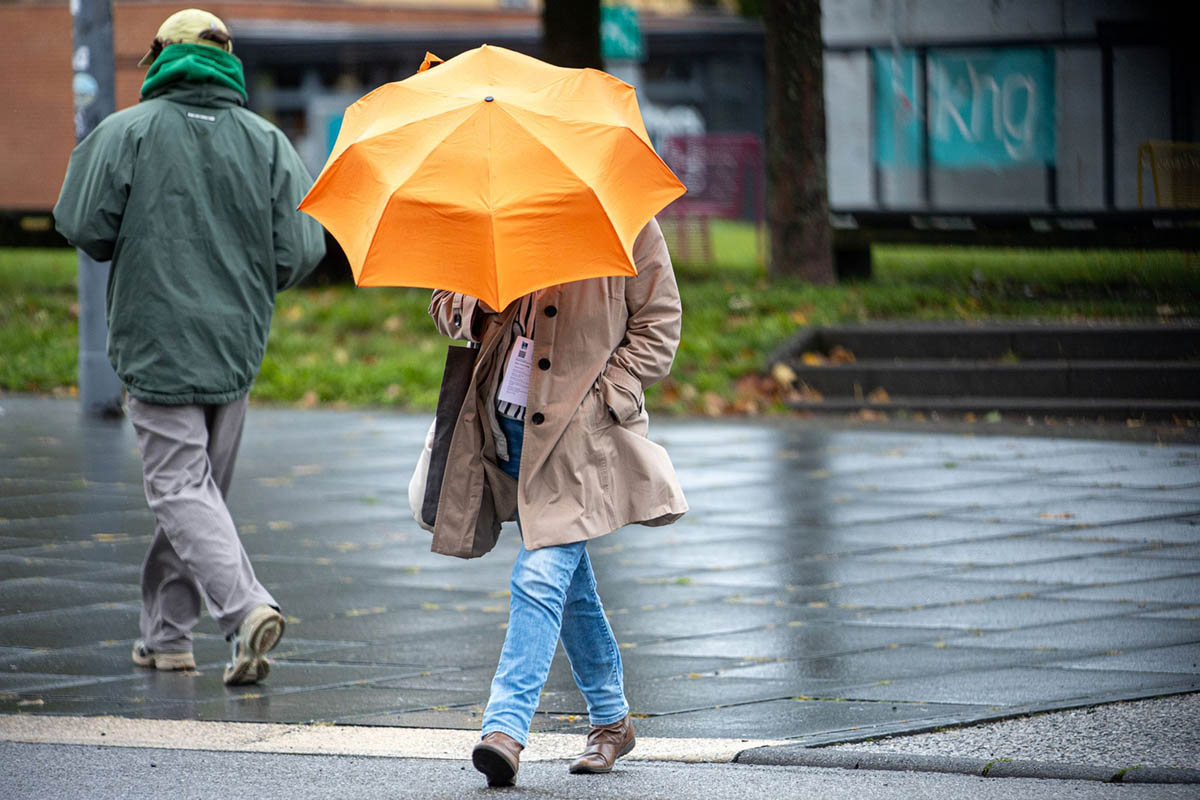 Stürmisches Herbstwetter bringt Regen und Gewitter nach Rheinland-Pfalz