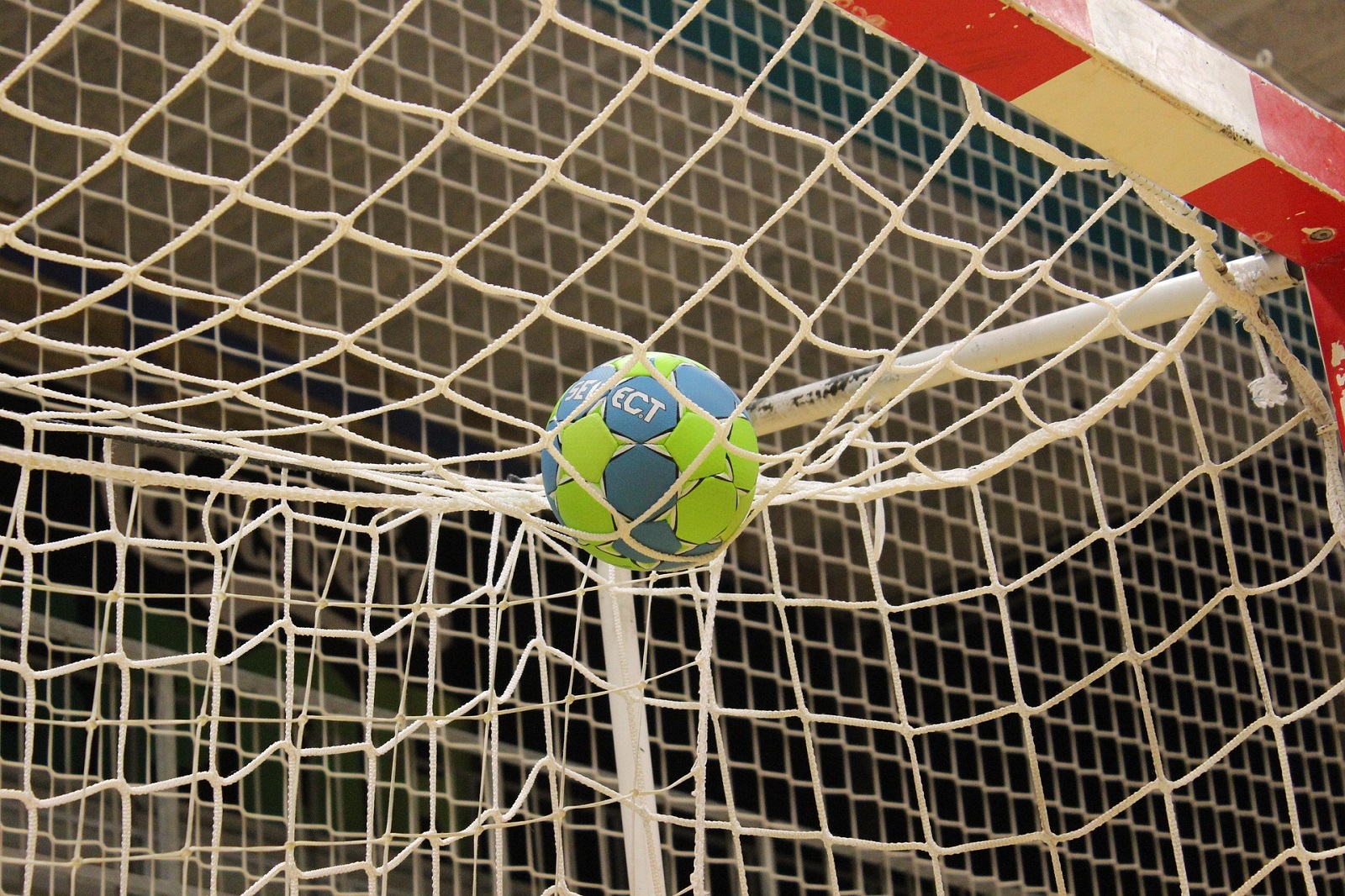 Handball. (Quelle: Pixabay)