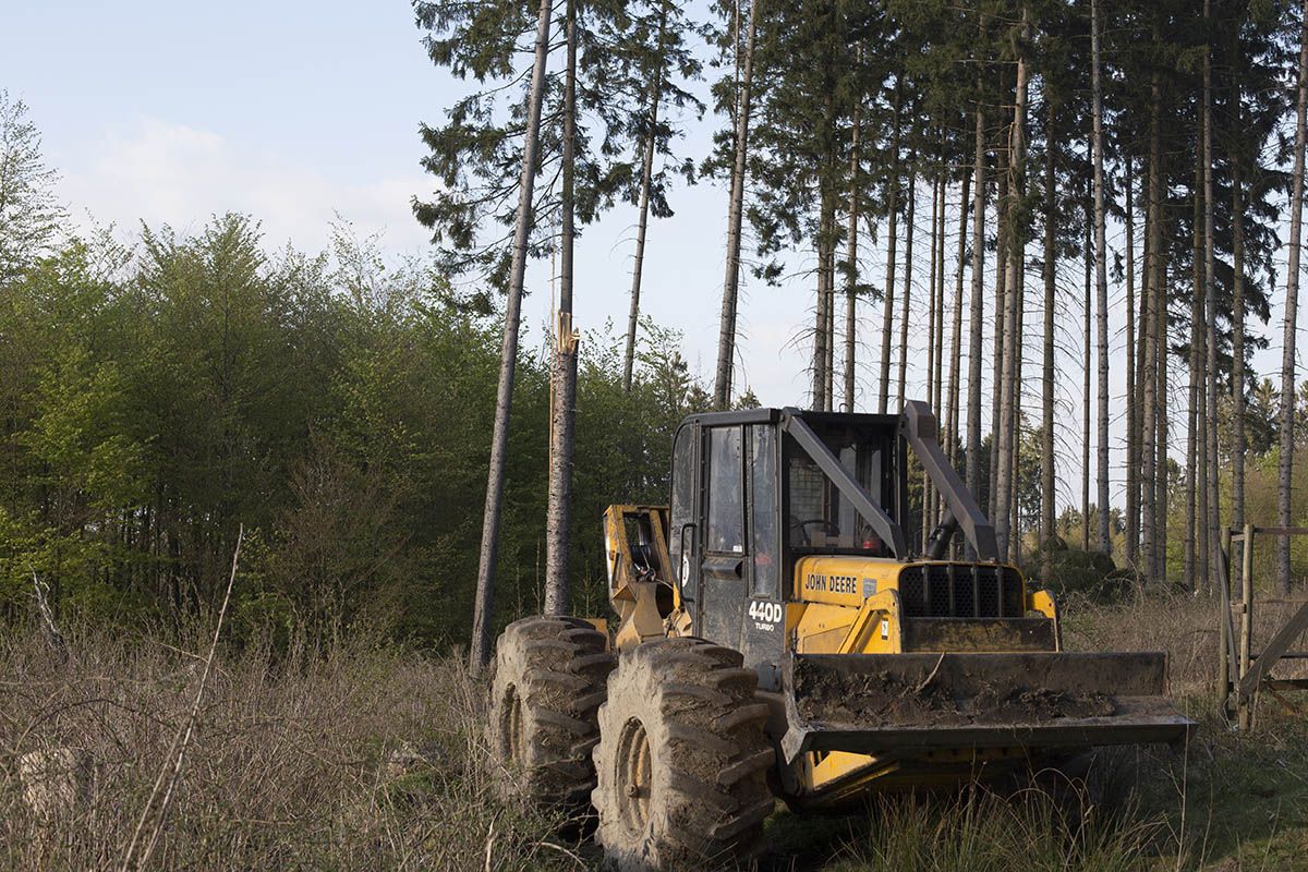 Im weichen Waldboden hinterlassen Harvester oft tiefe Spurrillen. Symbolfoto