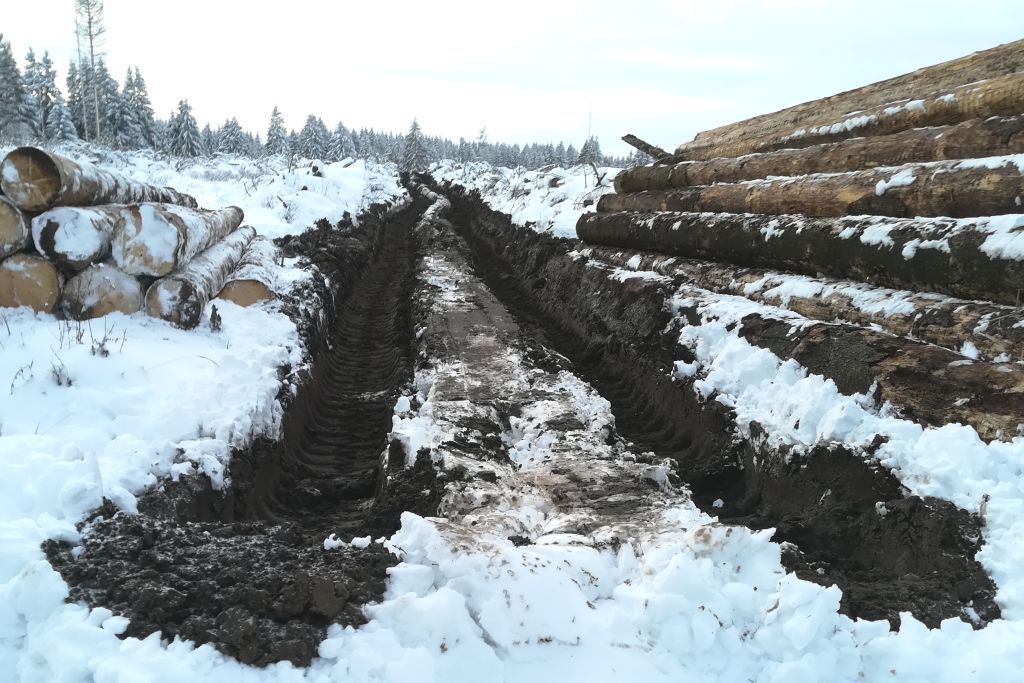 Tiefe Fahrrinnen im feuchten Waldboden zwischen der Wacholderheide und dem Oberlauf des Lasterbachs bei Westernohe (VG Rennerod; 50.607861, 8.115417; Foto: H. Rittweger 9. Januar 2021)