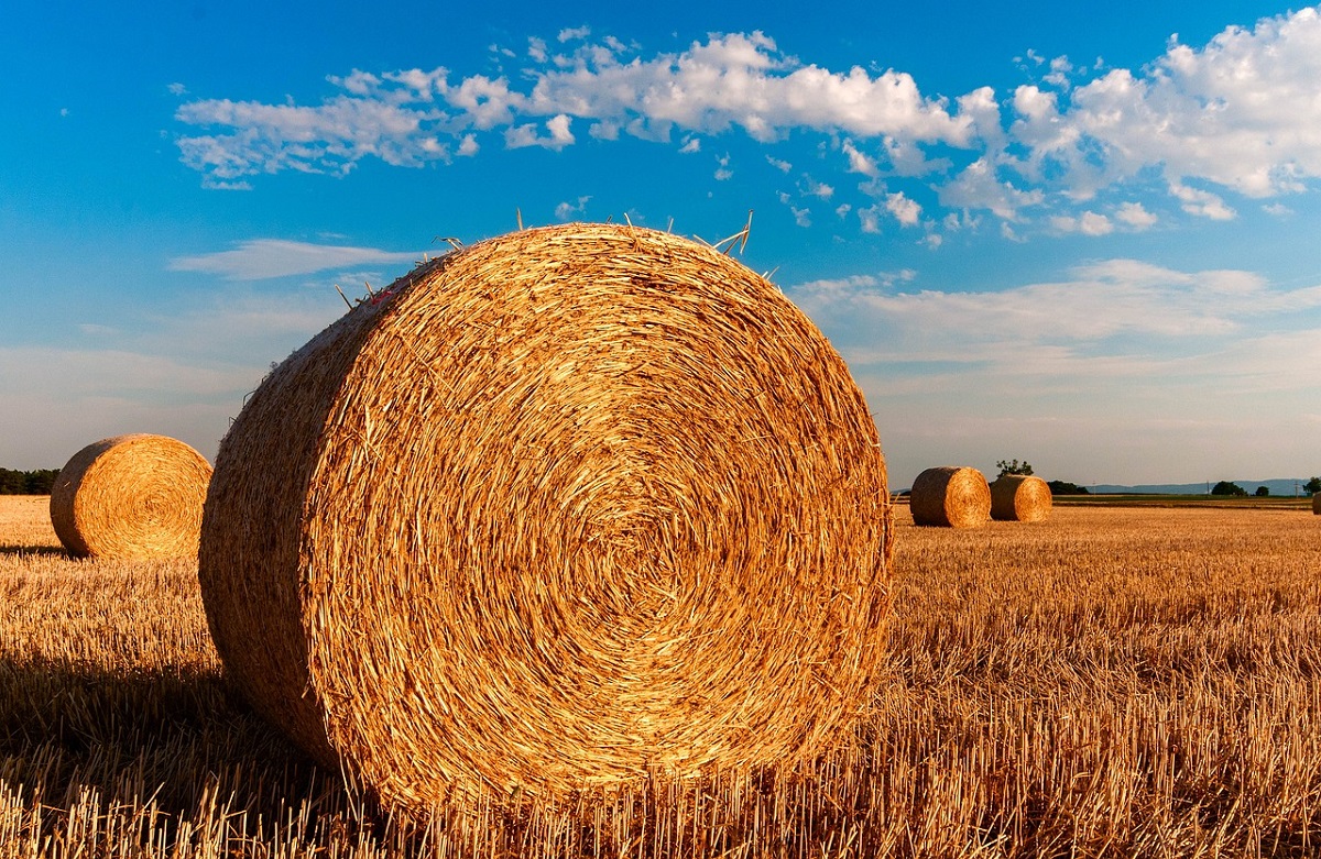 (Symbolbild: pixabay)