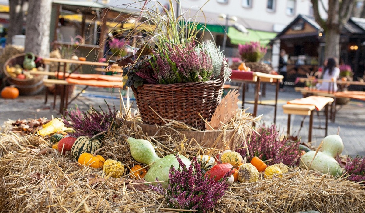 Der Herbst hat viele schöne Seiten und die Neuwieder Markttage bringen Einige davon zum Vorschein. (Foto: Stadt Neuwied)