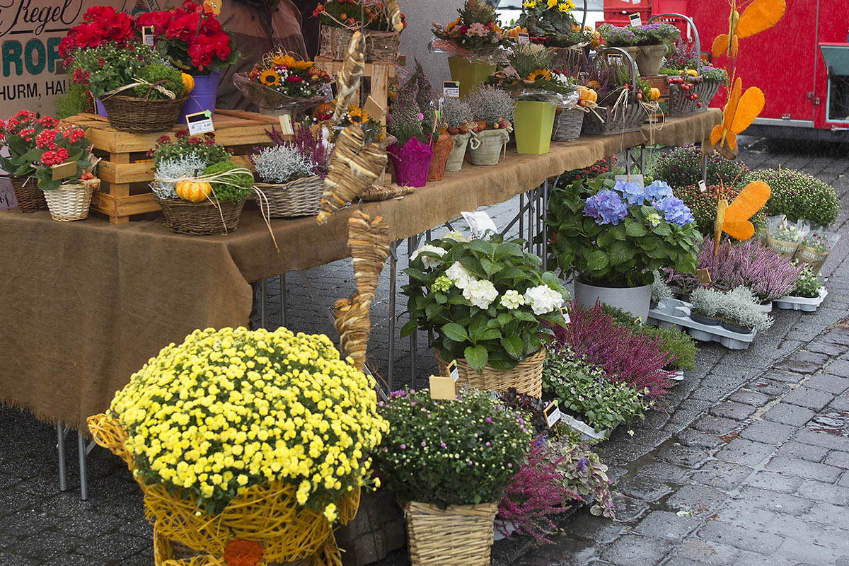Herbstmarkt Dierdorf findet erstmalig im und am Schlosspark statt