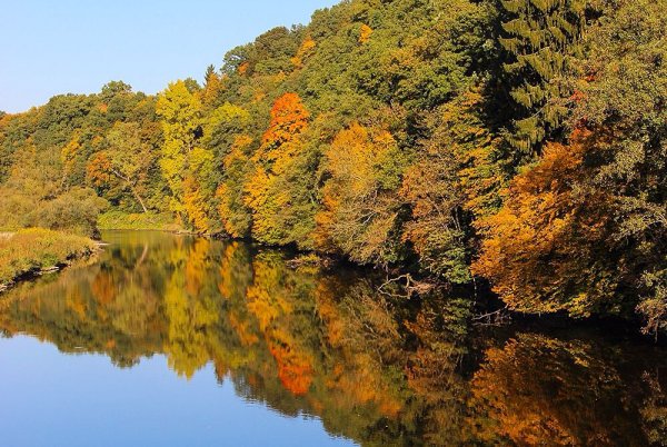 Wetter im Westerwald: Am Wochenende kommt der goldene Oktober