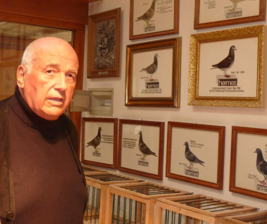 Raymund Hermes starb im ALter von 81. Jahren. Das groe Hobby des Unternehmers waren seine Brieftauben. (Foto: Ingo Zager/brieftaubenfotos-zager.de)