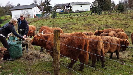 Vierbeinige Landschaftspfleger leisten tolle Arbeit