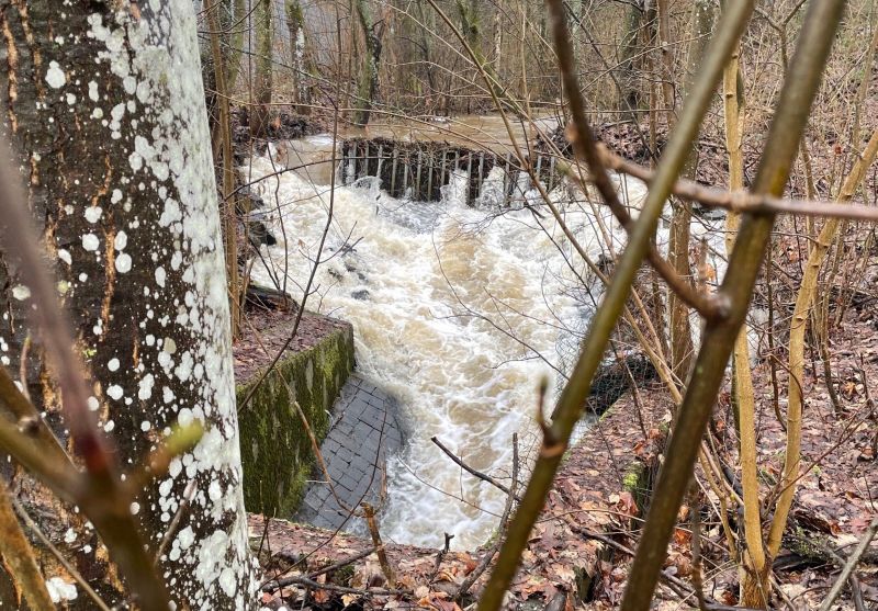 Hochwasser. Foto: VG Hachenburg