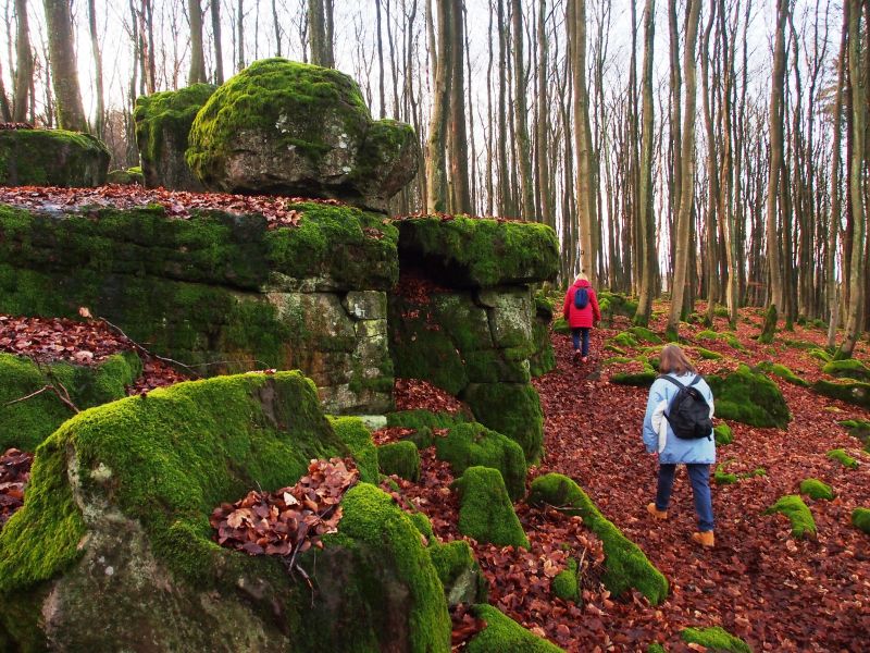 Hhner 8: zwei Rundwanderwege, hier: Hochstein. Fotos: Tatjana Steindorf