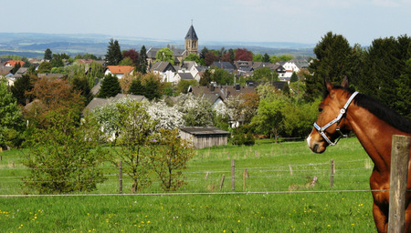 Der Frhling und der Wonnemonat Mai halten auch in Horhausen Einzug und die Seniorenakademie will dies am 9. Mai feiern. (Foto: Seniorenakademie)