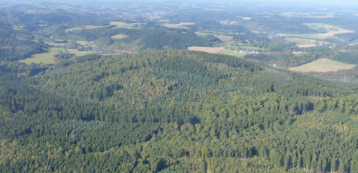 In der nchsten Woche verhandelt das Verwaltungsgericht Koblenz ber die Klage der Altus AG in Sachen Errichtung von Windkraftanlagen auf dem Hmmerich zwischen Gebhardshain und Mittelhof. (Foto: BI Hmmerich)