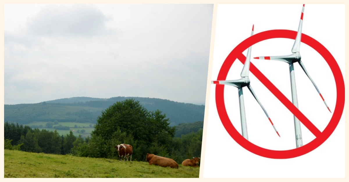 Bleibt der Hümmerich frei von Windrädern? Die Kreisverwaltung Altenkirchen lehnte erneut einen Antrag der Altus AG ab. (Fotos: BI)