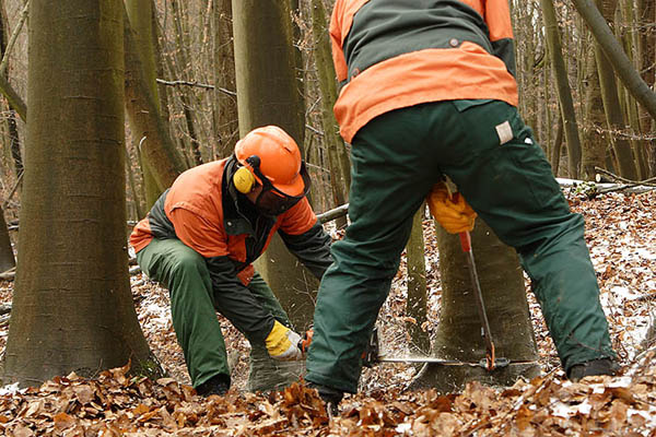 Foto: Symbolfoto NR-Kurier