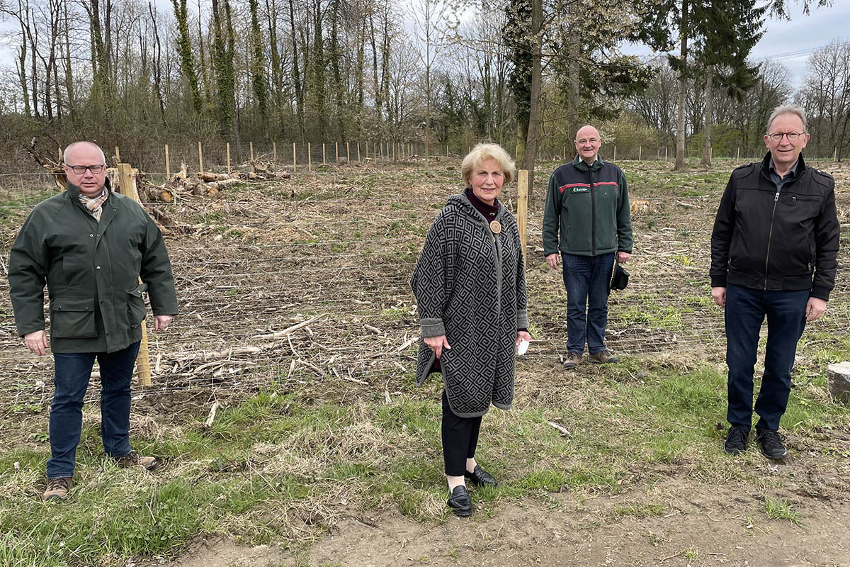 1.049.556 Euro an Bundeswaldprmie fr Waldeigentmer im Kreis Neuwied