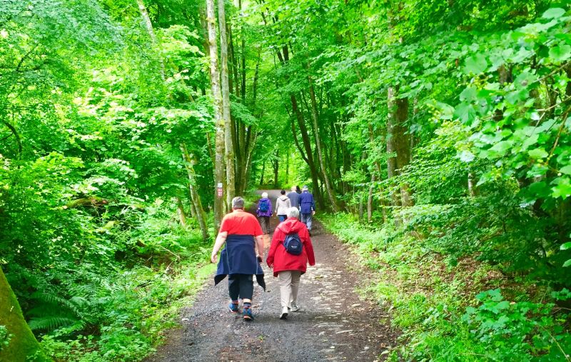 Kostenfreie gefhrte Wanderungen im Kannenbckerland